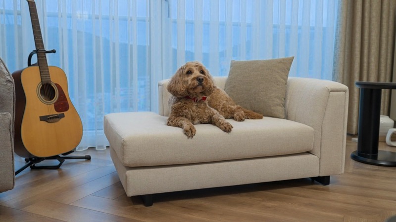 Pati Dostu Kumaşlar ile Konforlu ve Dayanıklı Yaşam Alanları